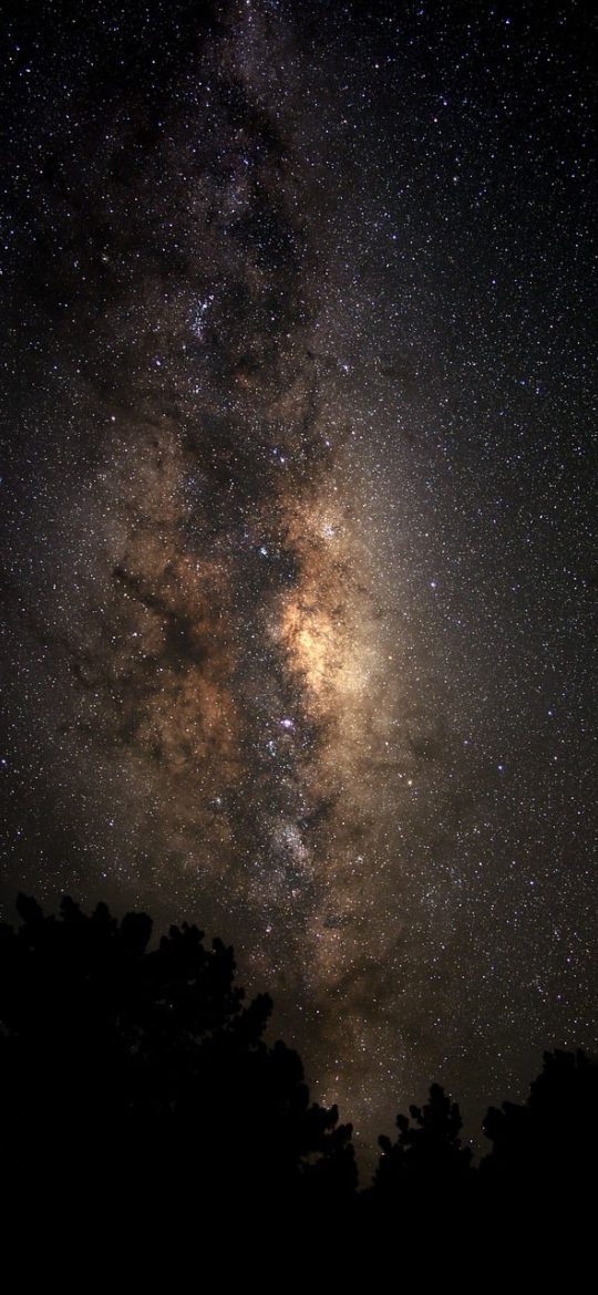 崩坏星穹铁道 App 登录界面截图，星穹列车车头作为背景，账号登录框位于屏幕中央偏下